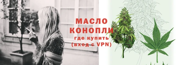 шишки Каменногорск