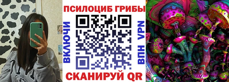 Галлюциногенные грибы мицелий  Кириши 