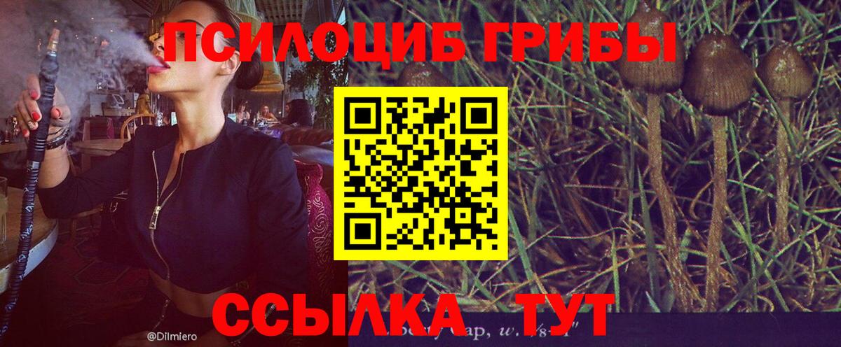 Кириши  Галлюциногенные грибы ЛСД  Вход с VPN 